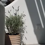 Luaz Naxian Living 2 Holiday home Naxos City