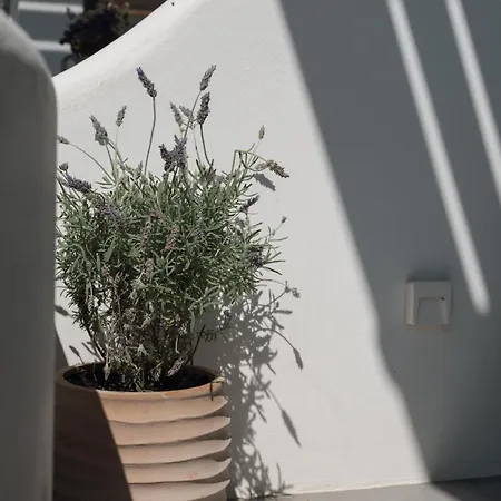 Luaz Naxian Living 2 Дом отдыха Naxos City