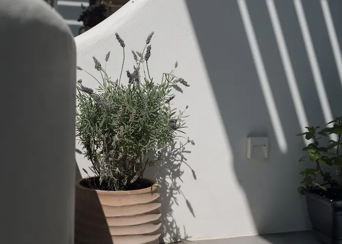 Luaz Naxian Living 2 Дом отдыха Naxos City